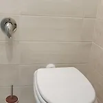 Volta 3*